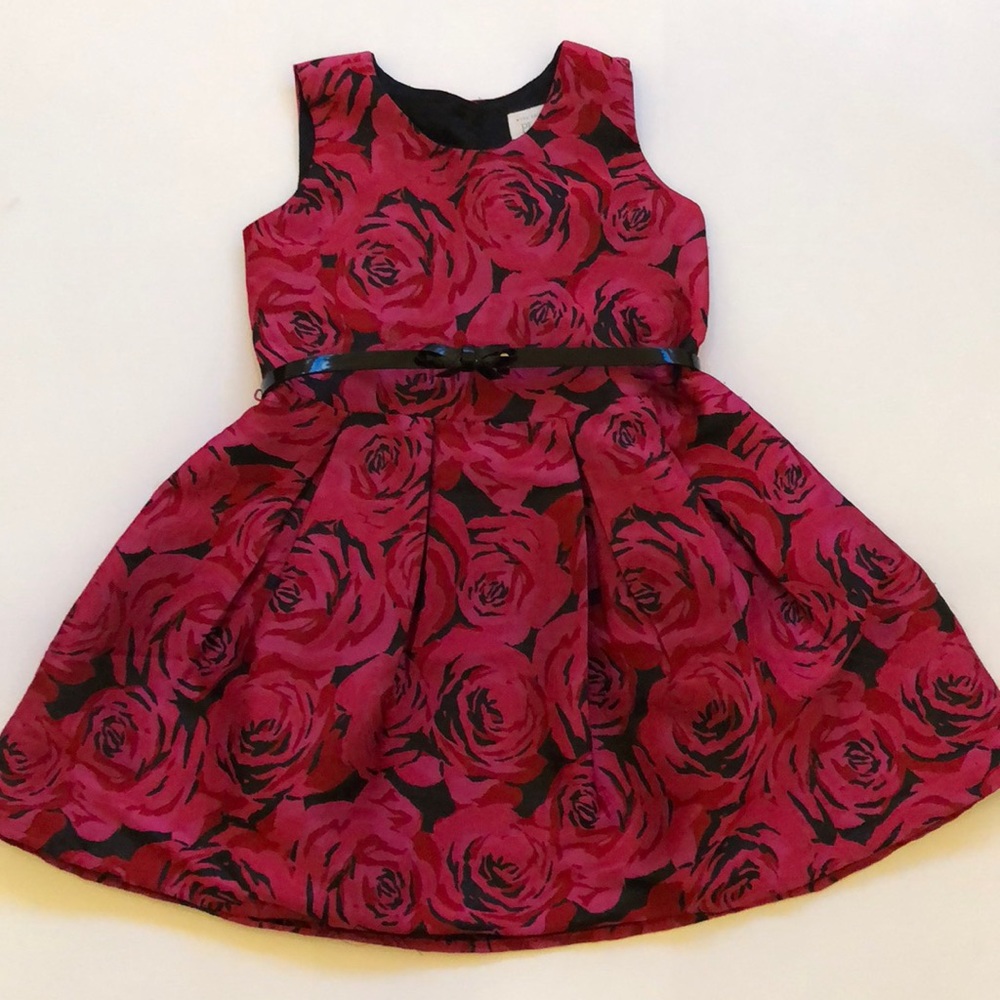 The Children’s Place Dress